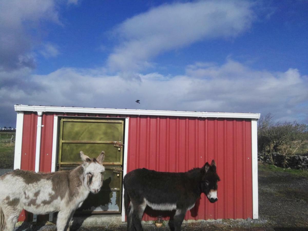 The Wild Atlantic Way Barn Farm stay Oranmore